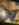 65A0A7A5-37BE-4D09-B09E-1817B43B4630.jpeg