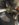 E2ECF102-7AA9-4FF9-9810-ECB896CA5109.jpeg