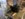 836FC7C0-F18E-4467-ADEB-B8ED055BC40A.jpeg