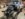 D3E8AAE3-D353-44EA-86FE-4C4FA719121E.jpeg