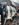 D1141518-29E4-4DD8-B065-A683740C5289.jpeg