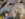 B8620F01-3E7B-4AA0-821D-A5BA4E1AC505.jpeg