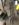 3586BE67-BAD9-4647-8C17-5FCB7599E789.jpeg