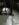 A3FBAEC7-363B-47DD-A92D-3CD8A6341F06.jpeg
