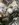 54524CFB-0A10-4562-AE7E-4879D79FB65B.jpeg