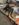 6EB9AC46-735E-4DD7-9A9C-9EF0BFCCC971.jpeg