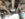 B8D3C98D-6AE4-49C8-8614-E8DA235F602E.jpeg