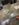 95E92141-3099-41D4-99C8-FAD53F69249E.jpeg