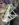 D37C11CE-A5C1-4E36-9CFF-83ADE431F363.jpeg