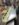D5BAD8EF-4AC7-4FEB-A2BE-9C5F144ACC99.jpeg
