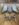 3B24BADA-BBF8-4193-A83B-DA30BC4D9C67.jpeg