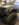 67A06182-E30C-4E05-BD47-3D8F5FF689D1.jpeg