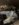 08BCD04D-3B2A-44FB-9949-ED5F44F64504.jpeg