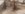 thumbnail_20191217_163213.jpg