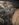 DB332DB6-FBB7-499F-A345-127ACDA1218D.jpeg
