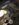 0D82F60F-1E1E-439D-95EA-4BD86149887A.jpeg
