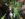 4945A24E-2803-496C-83CA-E119E717BD70.jpeg