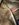 0C8B2B53-BE61-482B-A4BD-0A380D1A5D51.jpeg