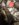 E0D210F4-CDC8-41DF-80BA-9510A0DB7951.jpeg