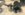 2640021D-0FC4-4B47-8DFA-FB0D1D265F91.jpeg