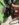B5E5CEA8-081A-4719-8E63-9F3CA4E4C2A5.jpeg