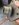 B1F13792-F74B-49F0-8E7F-47206725BEDE.jpeg