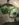 BF978D50-EE71-48B5-804A-D0F26678AC48.jpeg