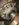 F4A0E505-086A-4732-947B-CF544B288D9D.jpeg