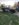 879457E7-3806-4A49-9B85-337748F4A291.jpeg