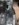 53C468EC-DFDA-424D-AB76-4E7C6C7D7478.jpeg