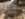 065E0F60-D9D6-4129-A637-2552BE0E09C4.jpeg