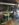 FB7271CB-BB57-44D4-BC93-6EF0173ECEC9.jpeg