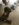 249C682C-F9B6-431D-8812-9CB08FB06444.jpeg