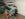 0F0A4BB4-4880-4B83-BC81-9726CCAB4A54.jpeg
