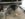 42C03182-C8BE-4BD2-8FB7-C6F7775562E3.jpeg