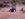 B4D77FE5-2886-4864-8DDF-F751917F0BB6.jpeg