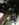 66AC90E0-90EA-4CF5-B86C-476DFE4957DB.jpeg