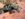 Pritchett Canyon (8).jpg