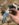 AB3F2D72-5FE5-4944-94DB-682922788EEA.jpeg