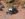 80AE10A3-0B04-4B48-8F45-0935F67591BB.jpeg