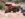 A67E17D7-6F82-419D-9CB9-98D07AB3F411.jpeg