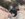 4BDEF2E8-B84E-4FFC-9333-872D4DEF7B06.jpeg