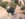 1DEC03F3-0D13-484B-A1E6-B47F1289E6FB.jpeg