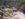 41BF9776-CBD2-4D9D-8437-93C2144396FC.jpeg