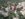 604667AE-A539-44F3-AF6A-FEBA32558915.jpeg