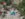 17F9D2AD-92F8-4258-ABA3-93F8894B69EF.jpeg