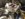 7B529FFE-A875-4C9F-A08E-3CE9E54B5FE2.jpeg