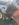 739452DD-7DC3-4994-8C30-FB728FBC58F3.jpeg
