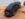 PoisonSpider9-11-1113.JPG