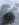 77E68849-9B7A-4225-ABEE-E23263EB6B30.jpeg